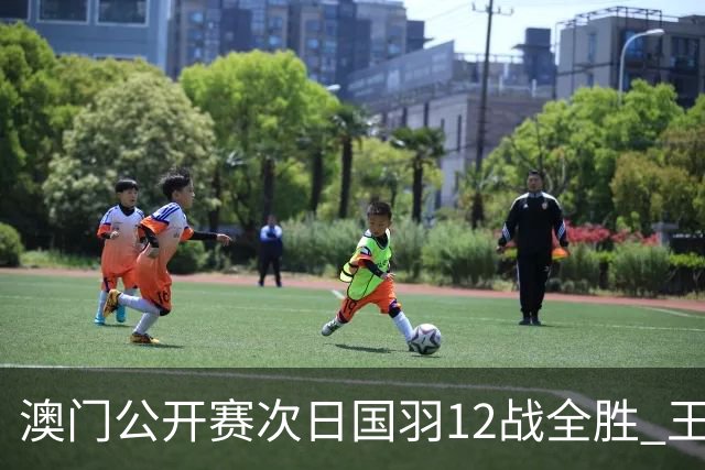 澳门公开赛次日国羽12战全胜 王正行刘亮晋级次轮
